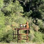 OTRA_2024_838 (May 13, 2024)