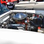 DSC_0079_00079 (August 11, 2024)