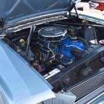 DSC_0081_00081 (August 11, 2024)