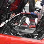 DSC_0029_00029 (October 12, 2024)