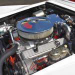 DSC_0121_00121 (October 12, 2024)