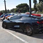 DSC_0134_00134 (October 12, 2024)