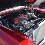 DSC_0135_00135 (October 12, 2024)