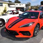 DSC_0137_00137 (October 12, 2024)