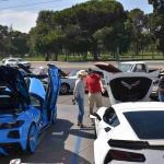 DSC_0144_00144 (October 12, 2024)