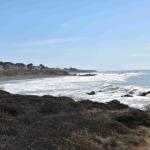 DSC_0033_00030 (November 03, 2024)