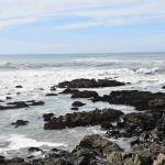 DSC_0034_00031 (November 03, 2024)