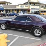 DSC_0046_00042 (November 03, 2024)