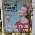 DSC_0064_00060 (November 03, 2024)