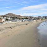 DSC_0091_00087 (November 03, 2024)