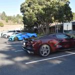 DSC_0096_00092 (November 03, 2024)