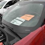 DSC_0021_00021 (August 17, 2024)