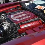 DSC_0045_00045 (August 17, 2024)