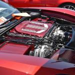 DSC_0047_00047 (August 17, 2024)