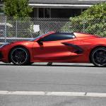 DSC_0049_00049 (August 17, 2024)