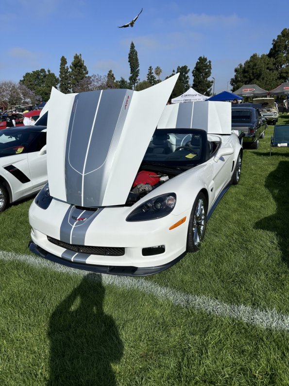 FV_car_show_bottis_001