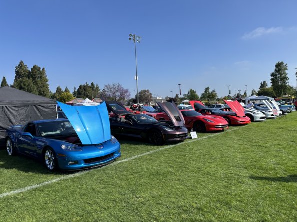 FV_car_show_bottis_008