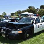 DSC_0008_00008 (June 15, 2024)