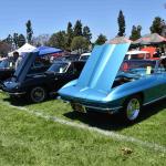 DSC_0009_00009 (June 15, 2024)