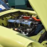 DSC_0016_00016 (June 15, 2024)