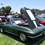 DSC_0019_00019 (June 15, 2024)