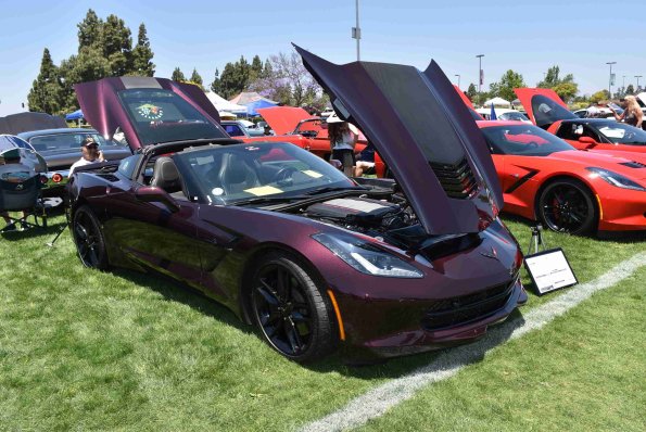 DSC_0060_00060