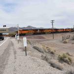 DSC_0016_00014 (April 18, 2024)