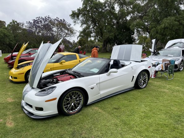 hb_concouse_bottis_001