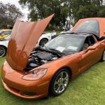 hb_concouse_bottis_002 (June 20, 2024)