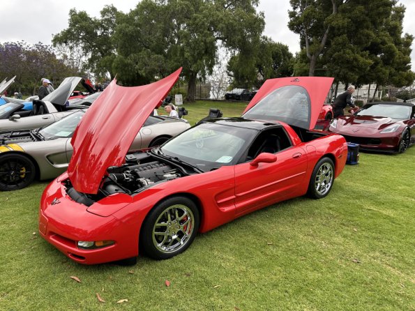 hb_concouse_bottis_007