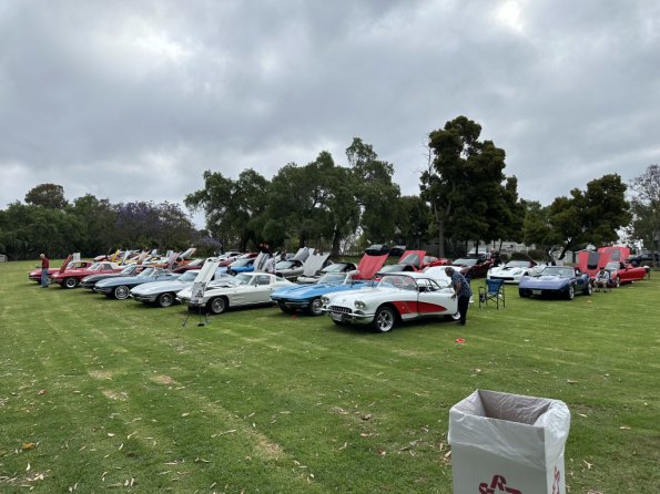 hb_concouse_bottis_011