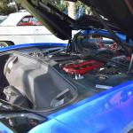 DSC_0031_00031 (September 08, 2024)