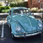 DSC_0032_00032 (April 06, 2024)