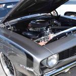 DSC_0037_00037 (April 06, 2024)