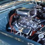 DSC_0039_00039 (April 06, 2024)