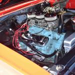 DSC_0050_00050 (April 06, 2024)