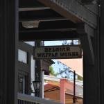 DSC_0024_00023 (July 10, 2024)