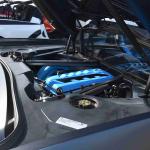 DSC_0068_00029 (July 20, 2024)