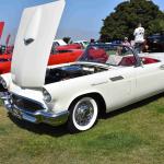 DSC_0106_00066 (July 20, 2024)