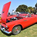 DSC_0109_00069 (July 20, 2024)