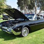 DSC_0114_00073 (July 20, 2024)