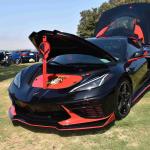 DSC_0120_00079 (July 20, 2024)