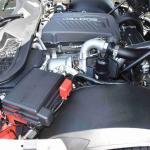 DSC_0165_00123 (July 20, 2024)