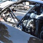 DSC_0166_00124 (July 20, 2024)