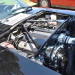 DSC_0167_00125 (July 20, 2024)