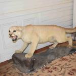 DSC_0021_00019 (May 25, 2024)