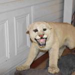 DSC_0028_00025 (May 25, 2024)