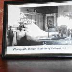 DSC_0052_00049 (May 25, 2024)