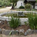 DSC_0062_00059 (May 25, 2024)