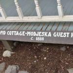 DSC_0066_00063 (May 25, 2024)